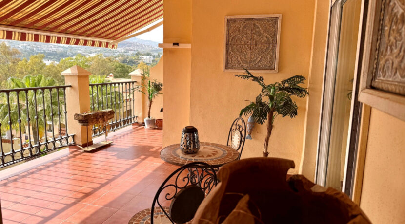 terras3