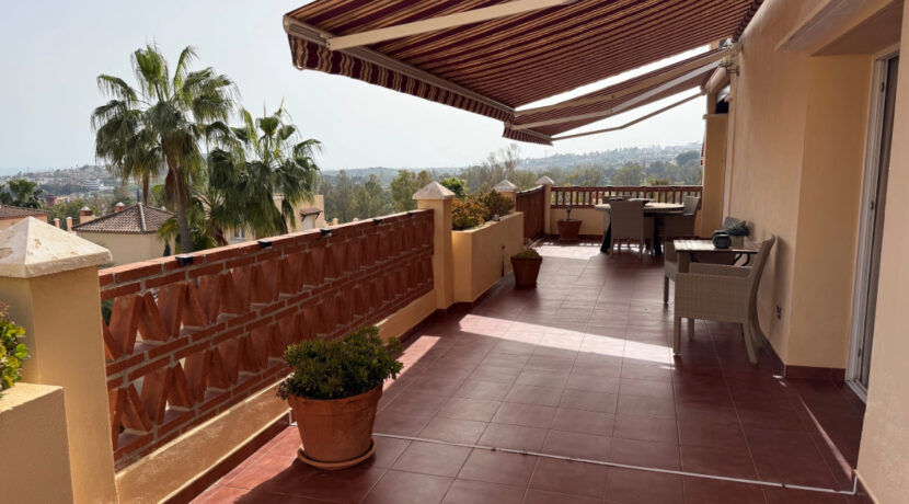 terras5