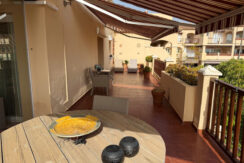 terras6