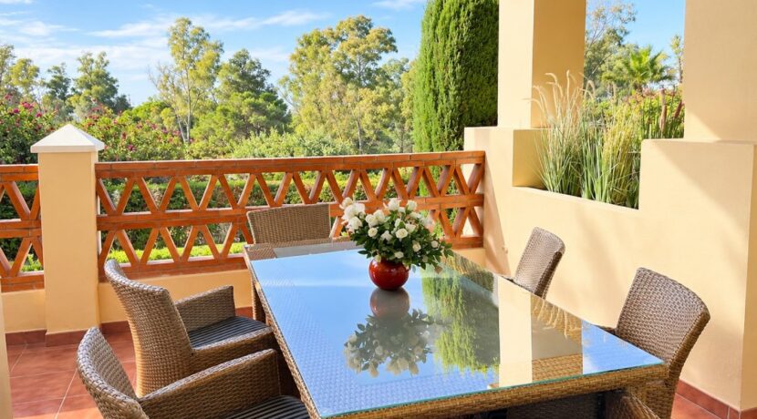 terras nieuw 4 website